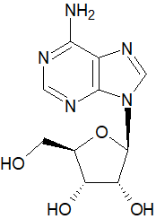 Adenosine