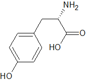 L-Tyrosine