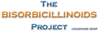 project's title