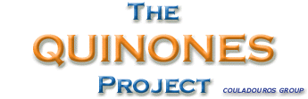 Project's title