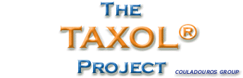 Project's title
