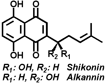 Alkannin & Shikonin