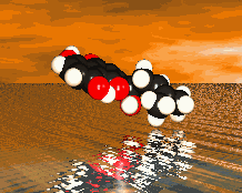 Projects' Photo
